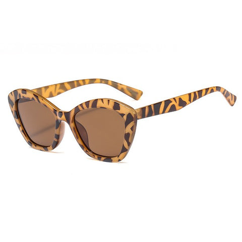 Carly Sunnies - Tortoise